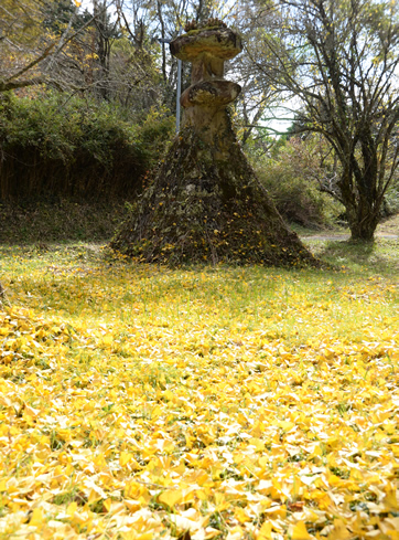 妻垣神社　紅葉