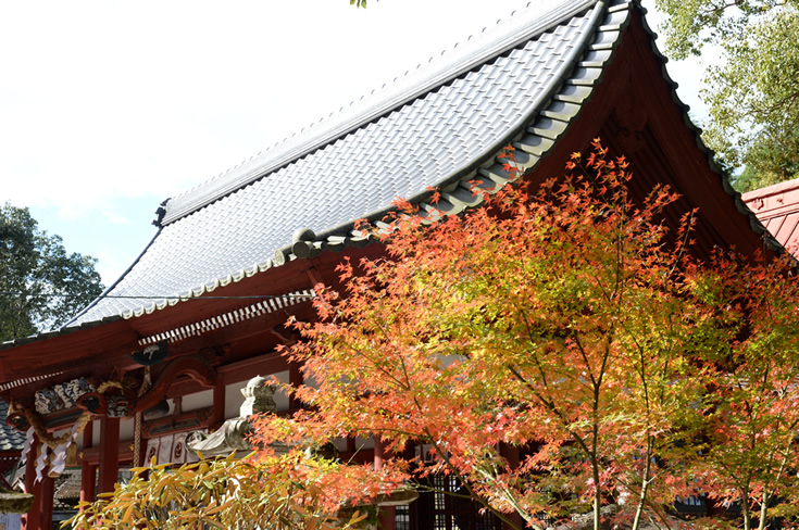 妻垣神社　紅葉