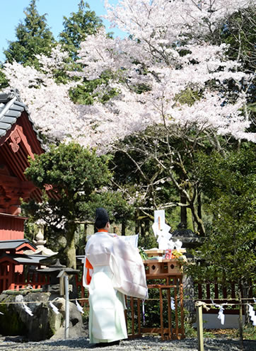 妻垣神社　元宮祭