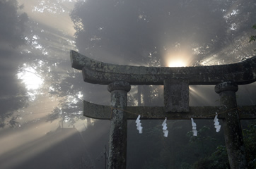 妻垣神社　鳥居 早朝