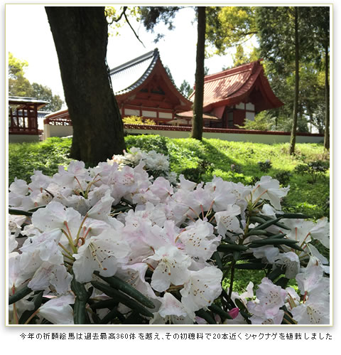 妻垣神社　神武天皇崩御二千六百年　～松本清張と神武東征～