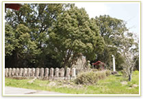 妻垣神社 雑木の伐採